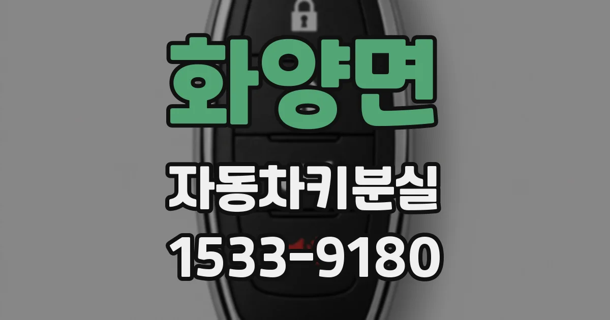 화양면 자동차키분실