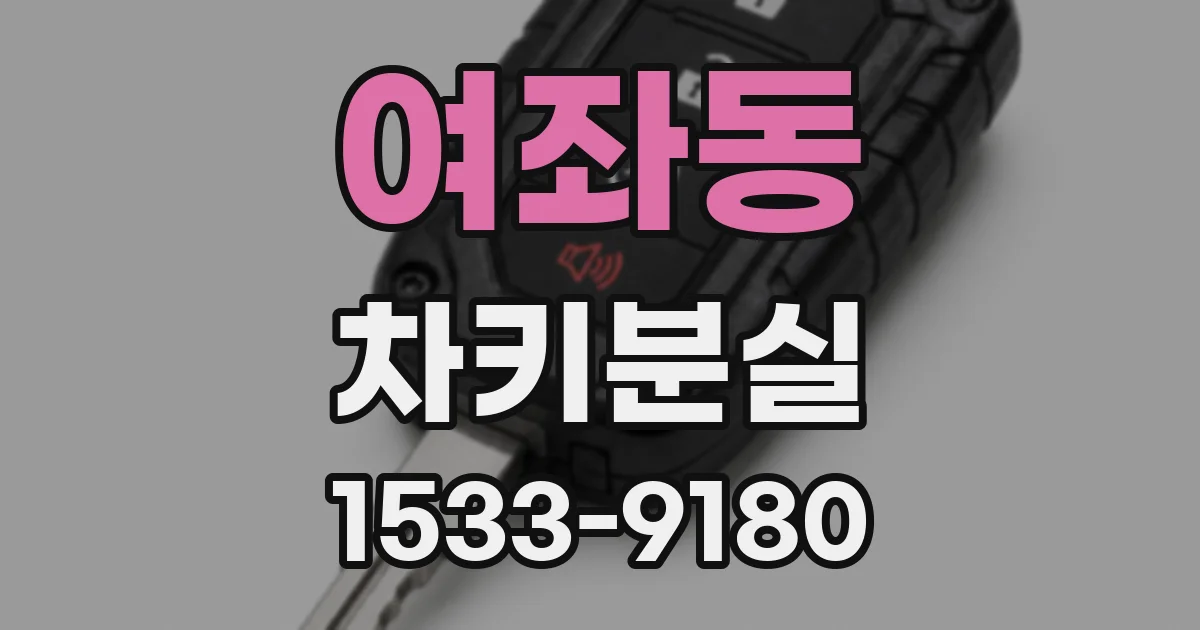 여좌동 차키분실