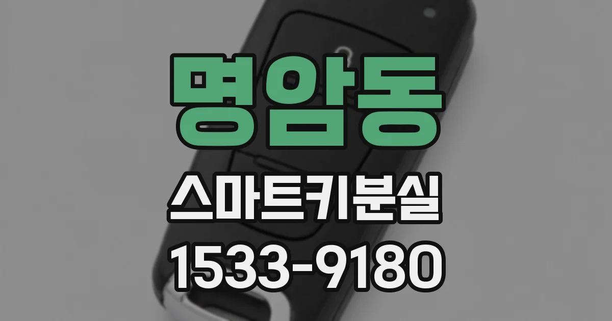 명암동 스마트키분실