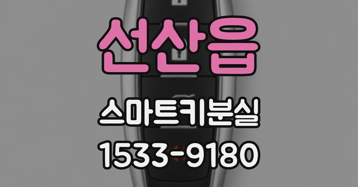 선산읍 스마트키분실