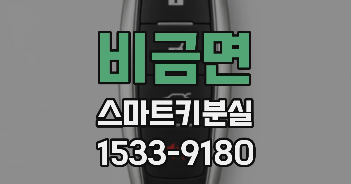 비금면 스마트키분실