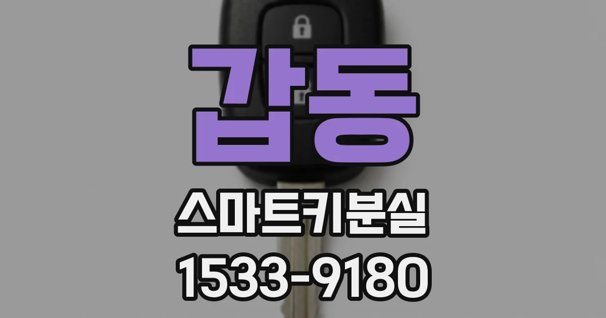 갑동 스마트키분실