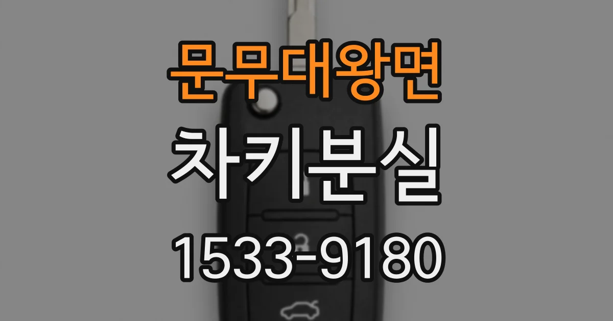문무대왕면 차키분실