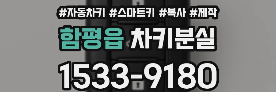 함평읍 차키분실
