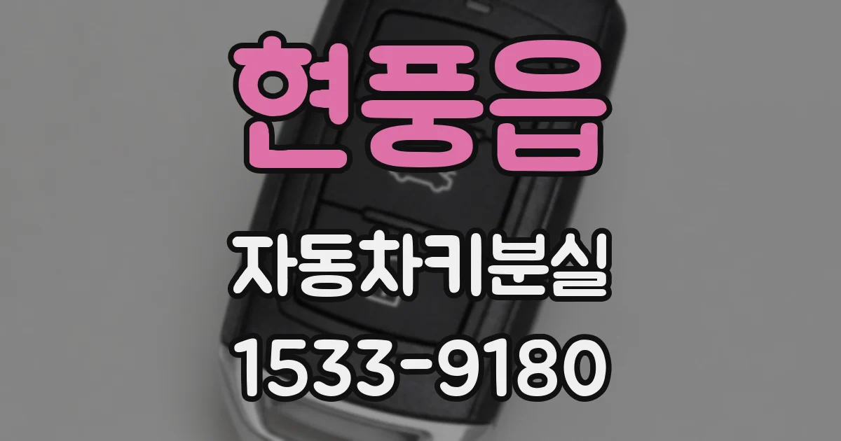 현풍읍 자동차키분실
