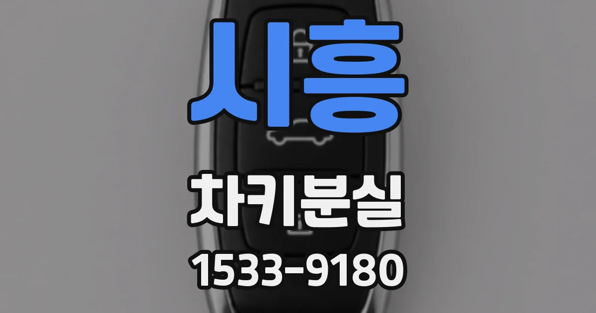 시흥 차키분실