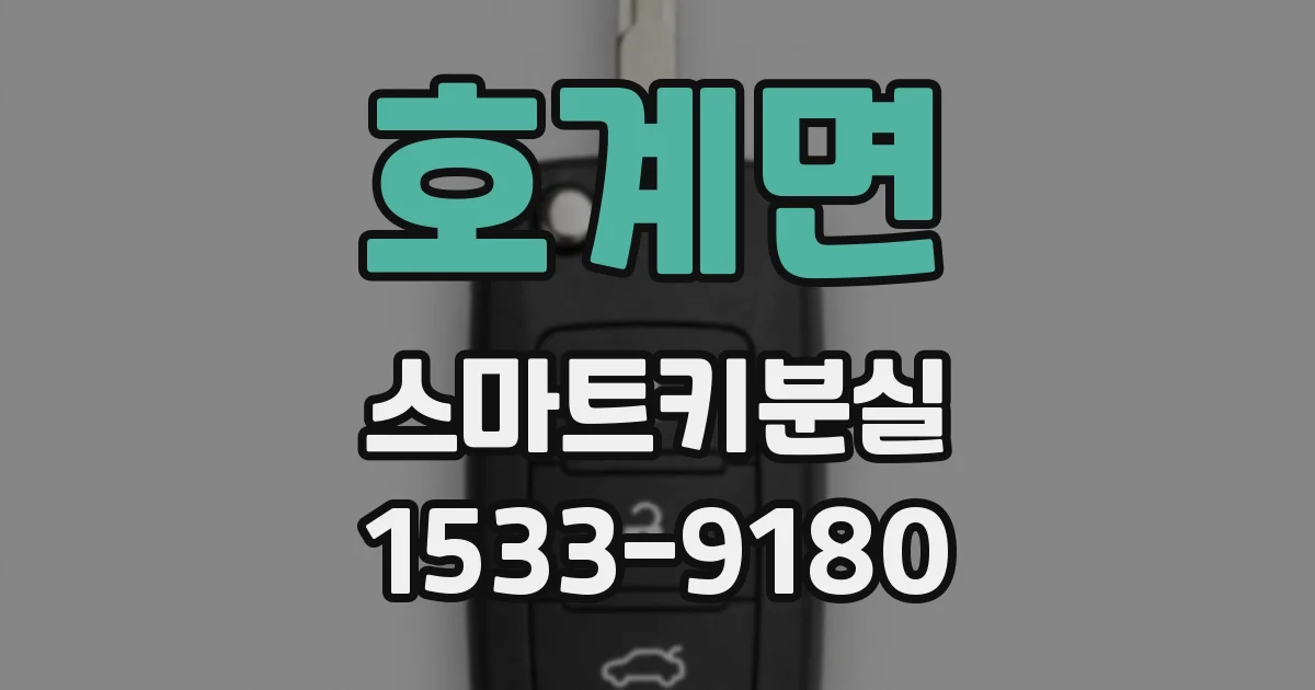 호계면 스마트키분실