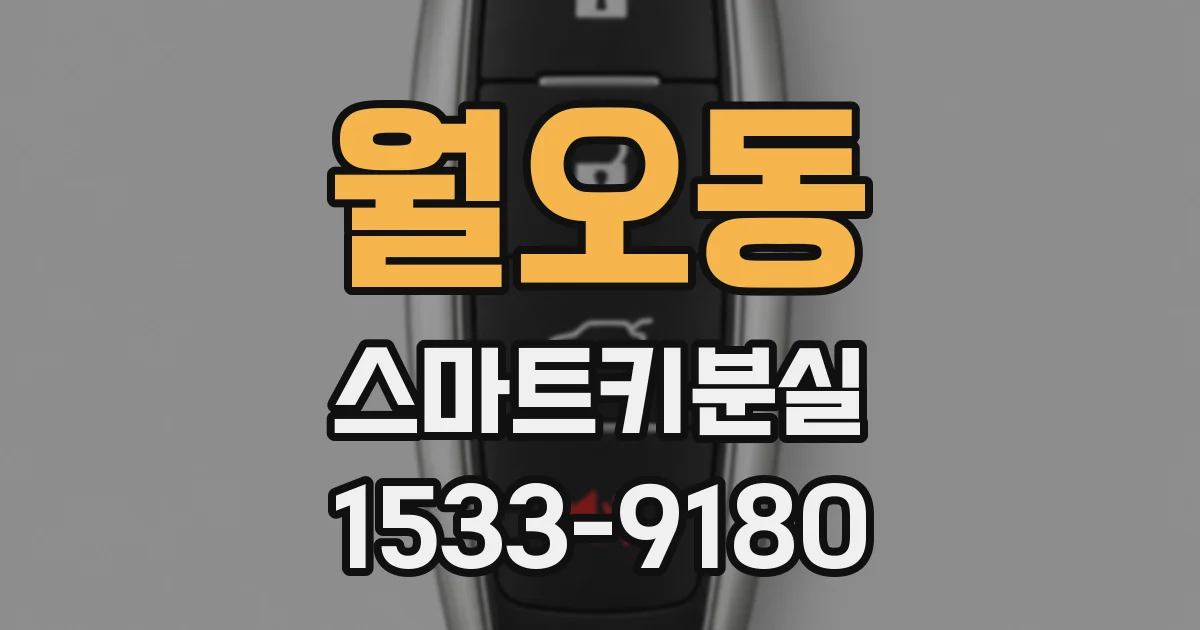 월오동 스마트키분실