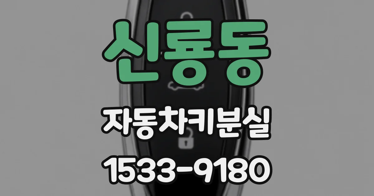 신룡동 자동차키분실