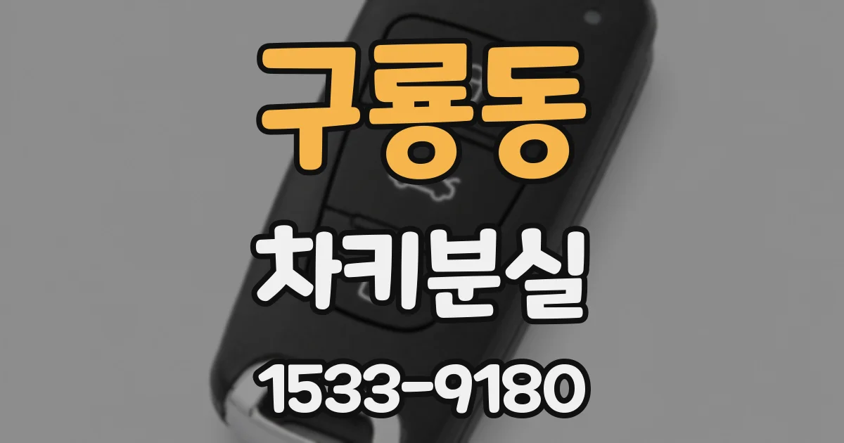 구룡동 차키분실