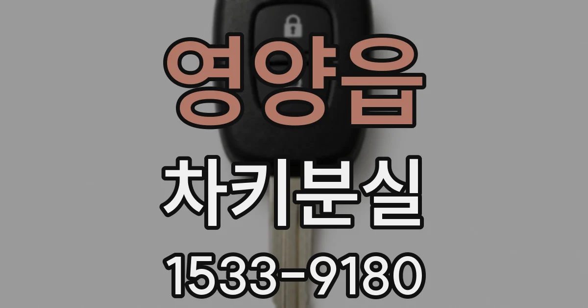영양읍 차키분실