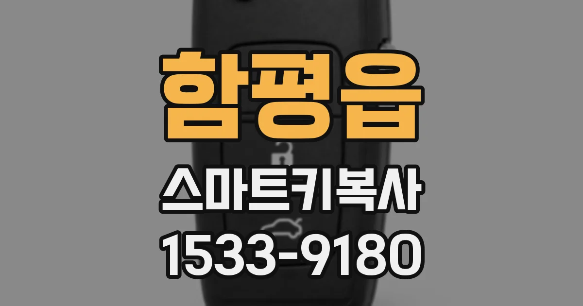 함평읍 스마트키복사