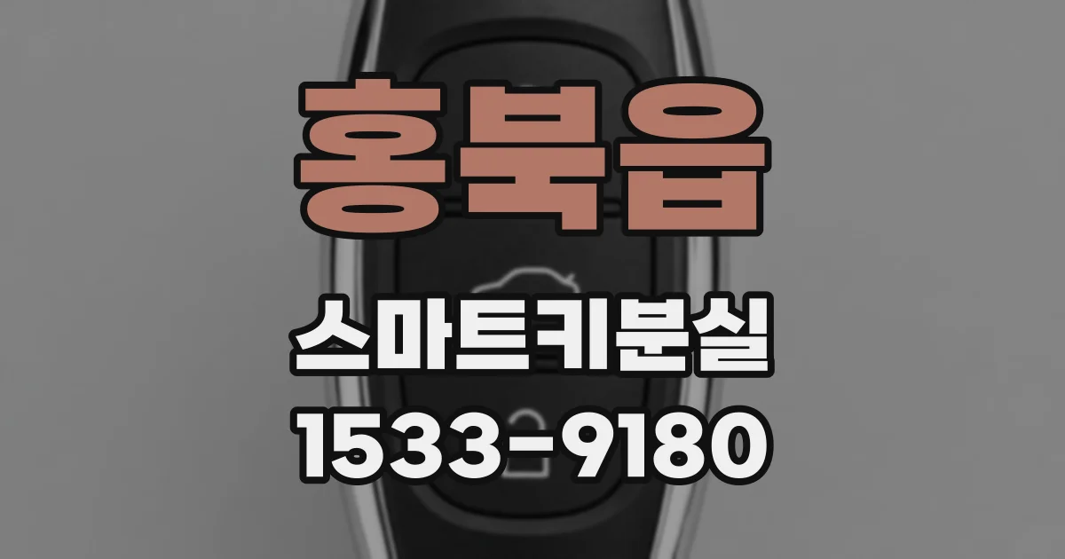 홍북읍 스마트키분실