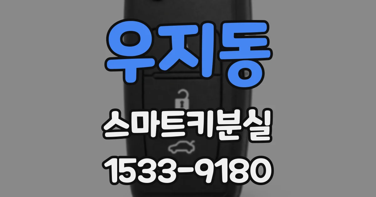 우지동 스마트키분실