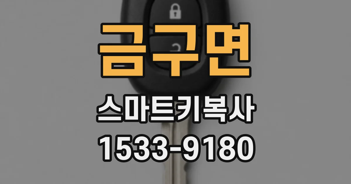 금구면 스마트키복사