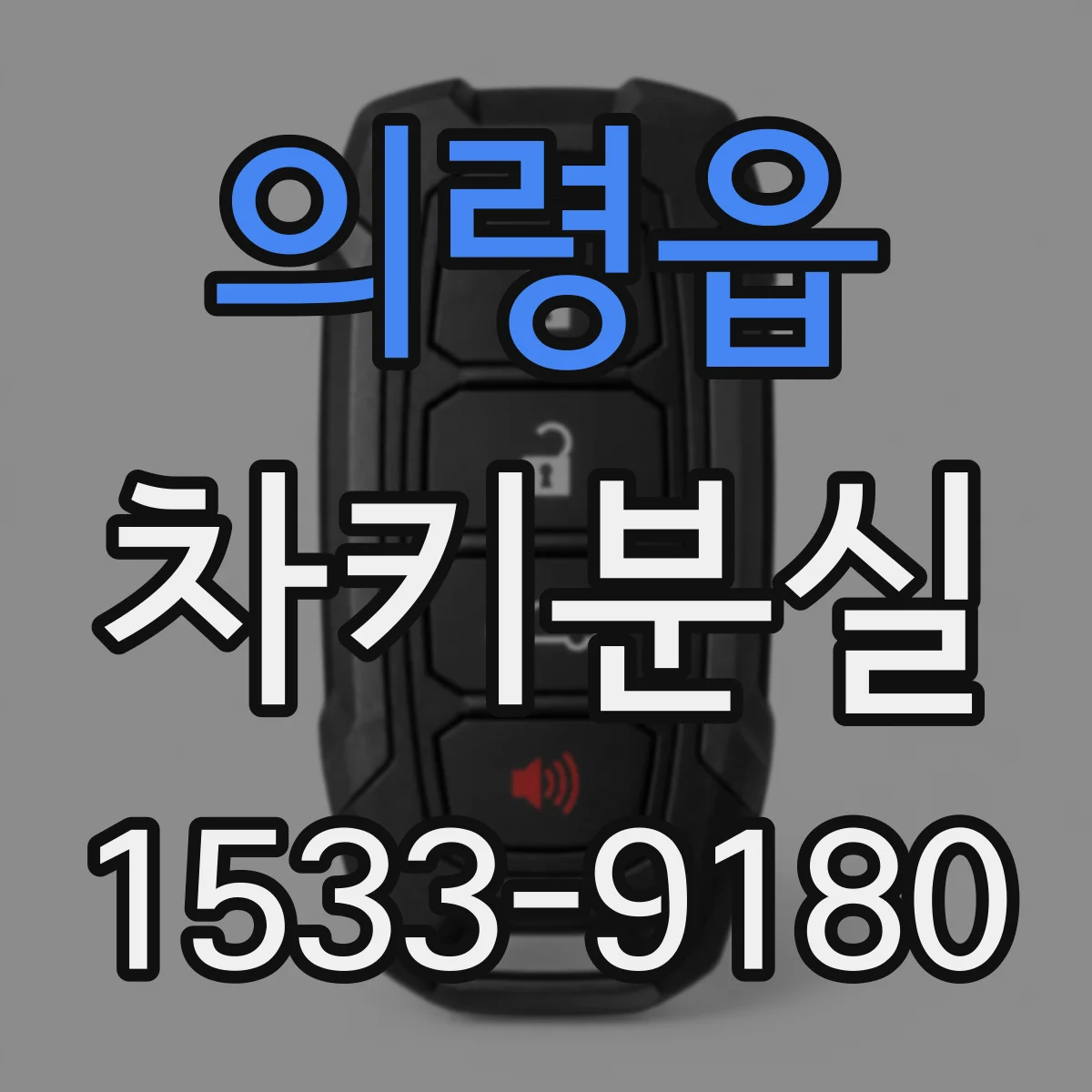 의령읍 차키분실