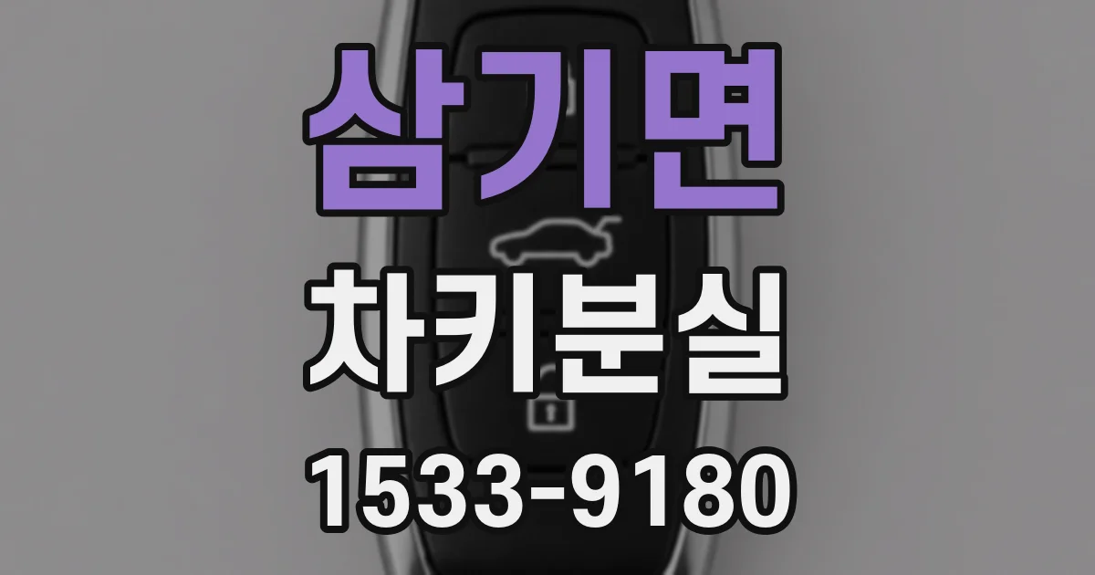 삼기면 차키분실