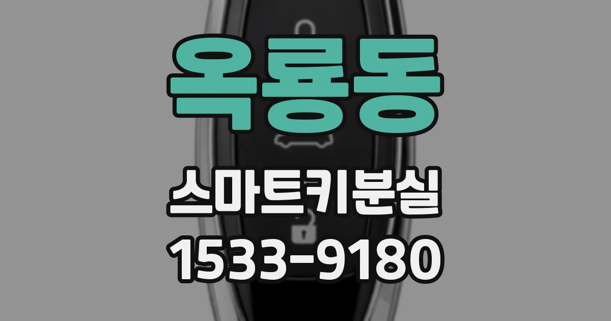 옥룡동 스마트키분실