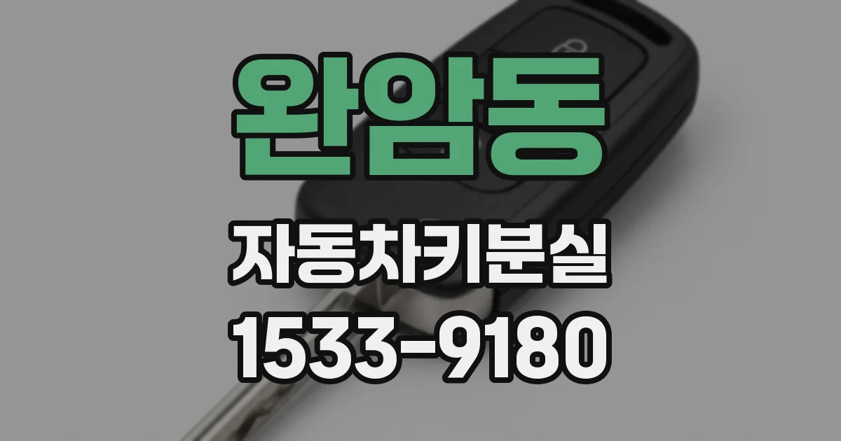 완암동 자동차키분실