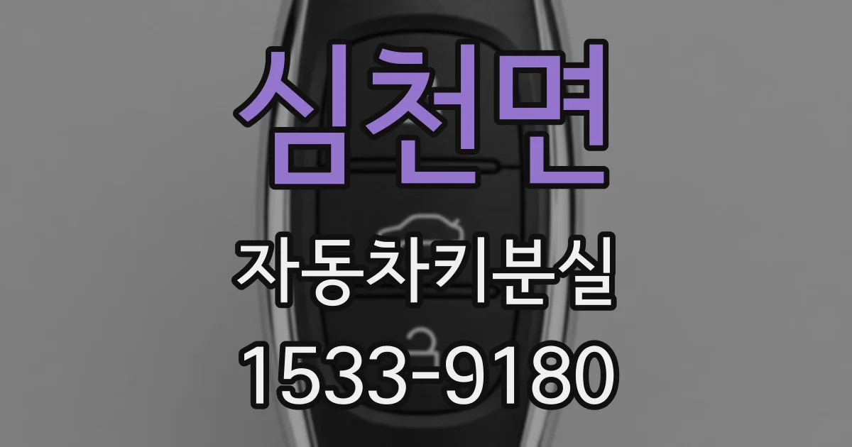 심천면 자동차키분실
