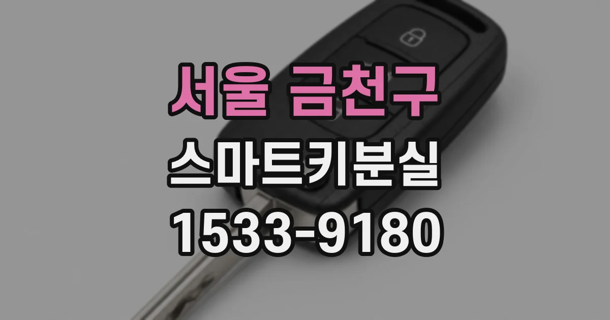 서울 금천구 스마트키분실