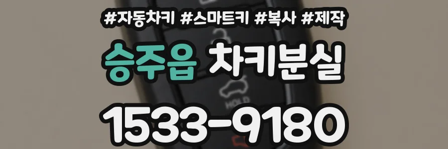 승주읍 차키분실