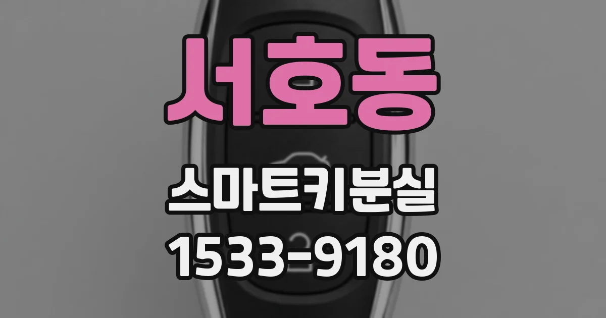 서호동 스마트키분실