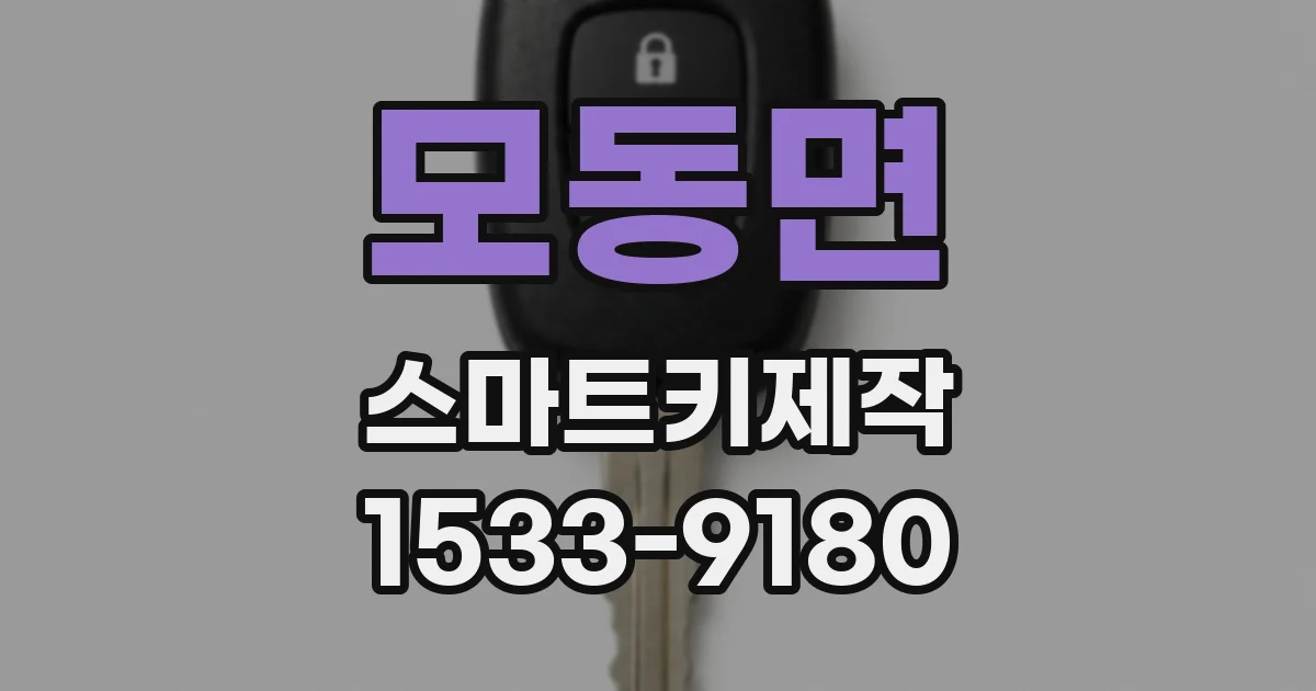 모동면 스마트키제작