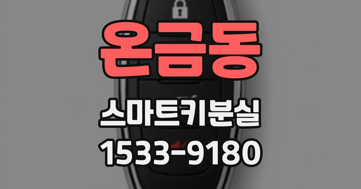 온금동 스마트키분실