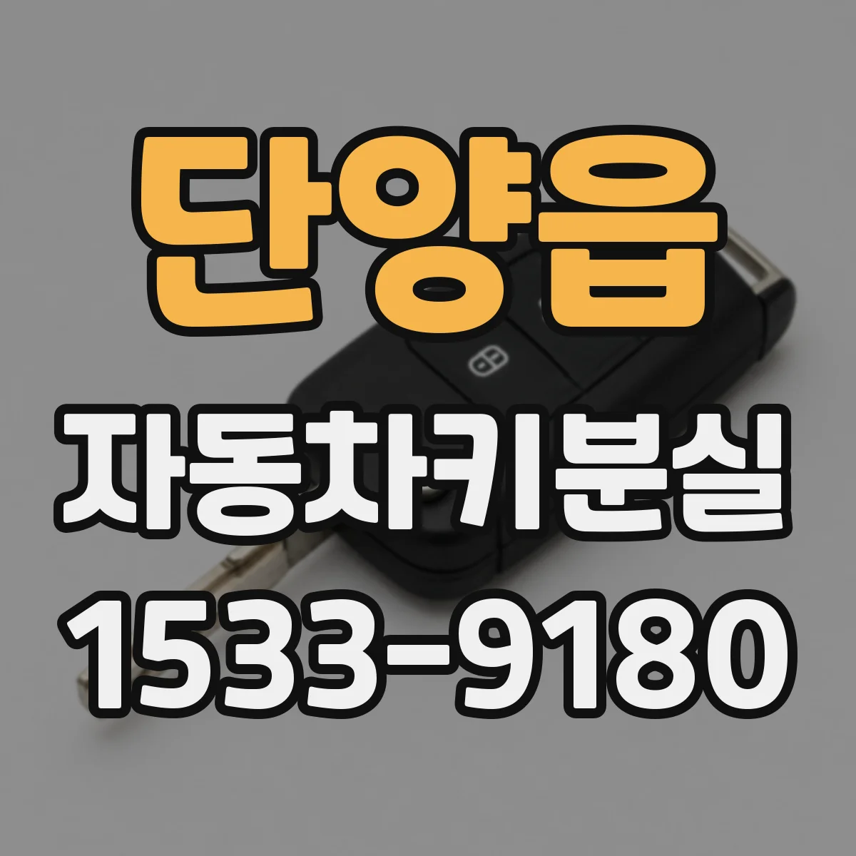 단양읍 자동차키분실