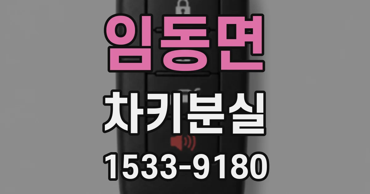임동면 차키분실