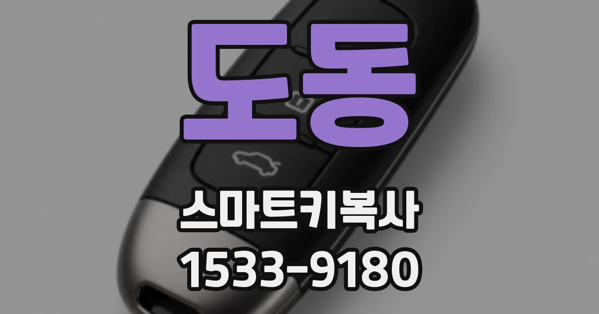 도동 스마트키복사