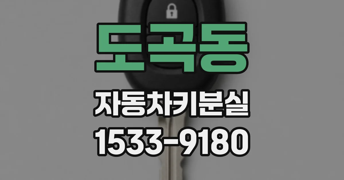 도곡동 자동차키분실
