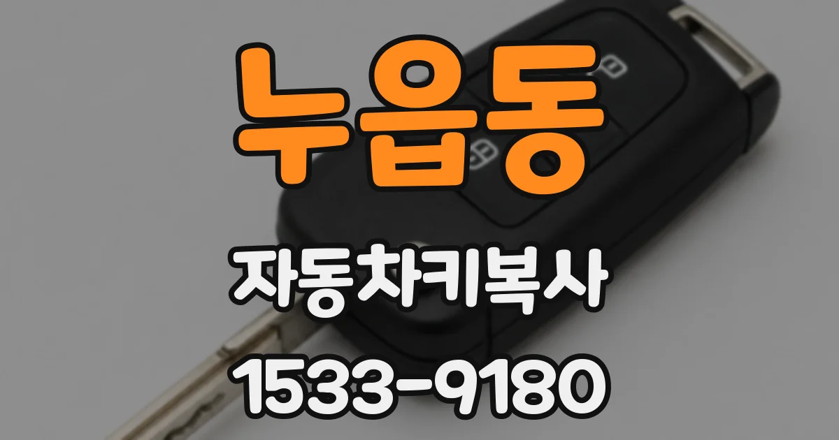 누읍동 자동차키복사