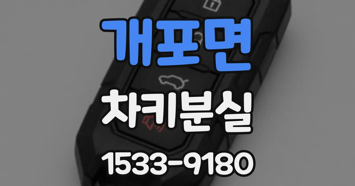 개포면 차키분실