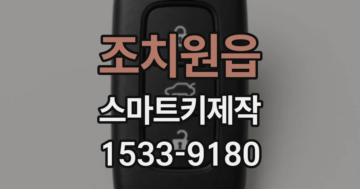 조치원읍 스마트키제작