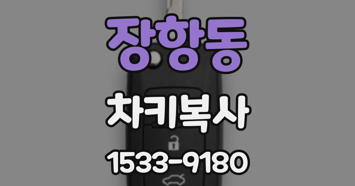 장항동 차키복사