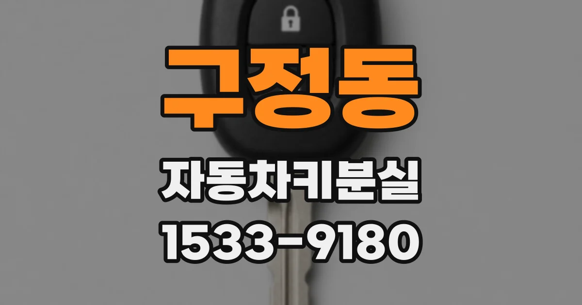 구정동 자동차키분실
