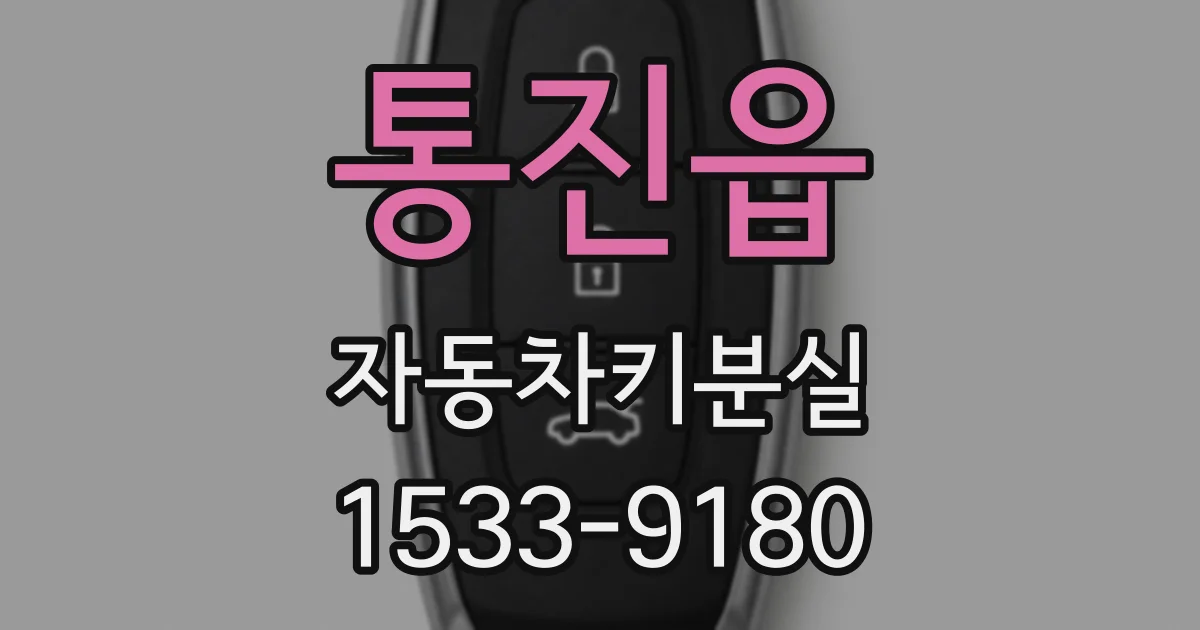 통진읍 자동차키분실