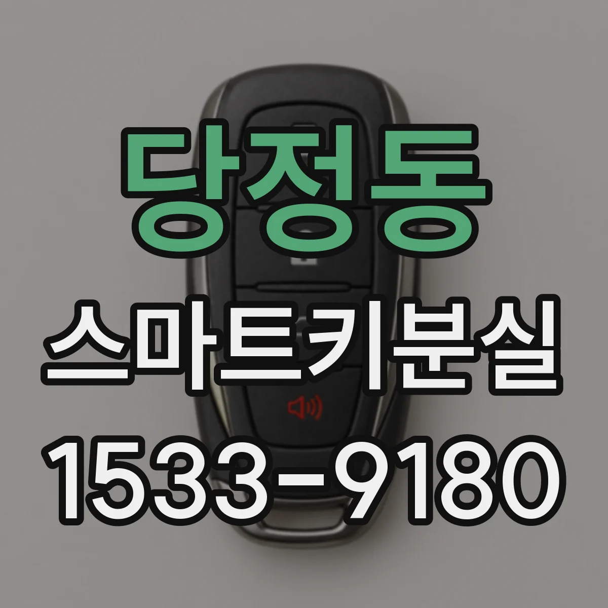 당정동 스마트키분실