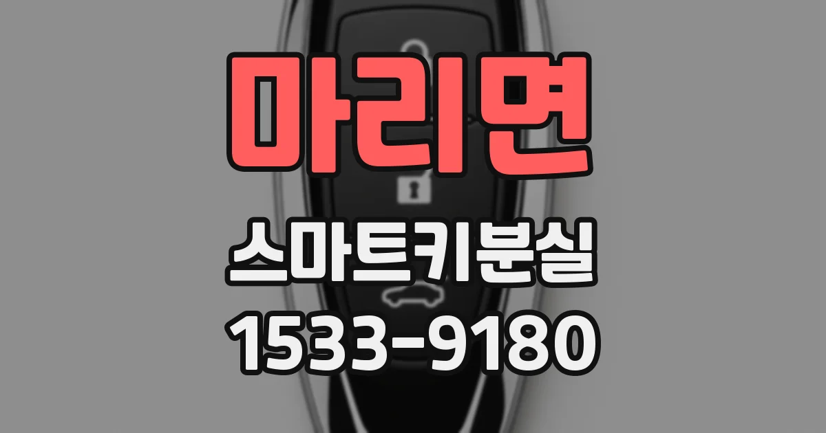 마리면 스마트키분실