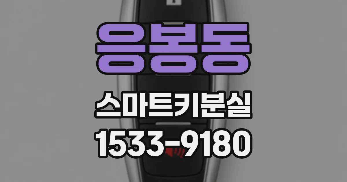 응봉동 스마트키분실