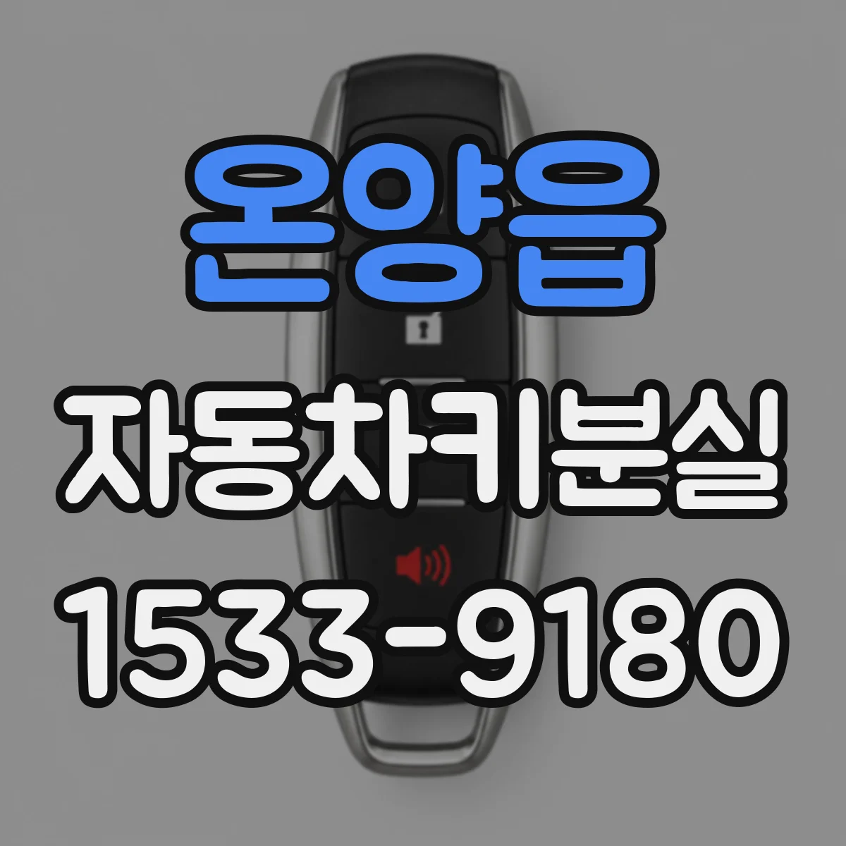 온양읍 자동차키분실