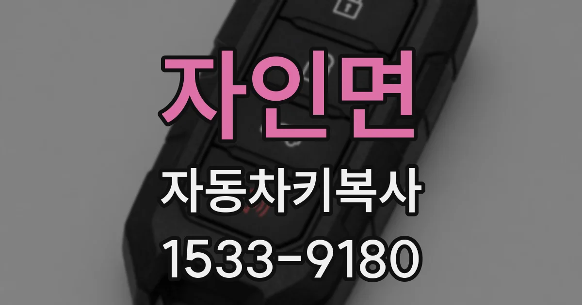 자인면 자동차키복사