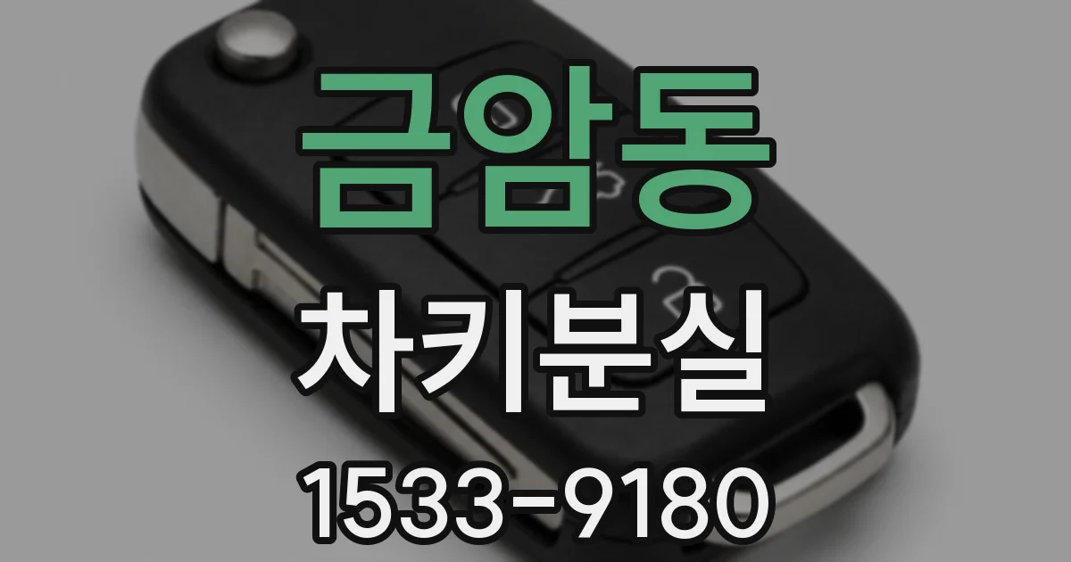 금암동 차키분실