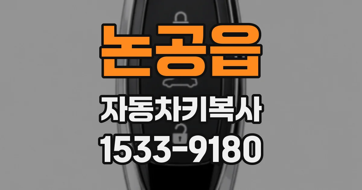 논공읍 자동차키복사
