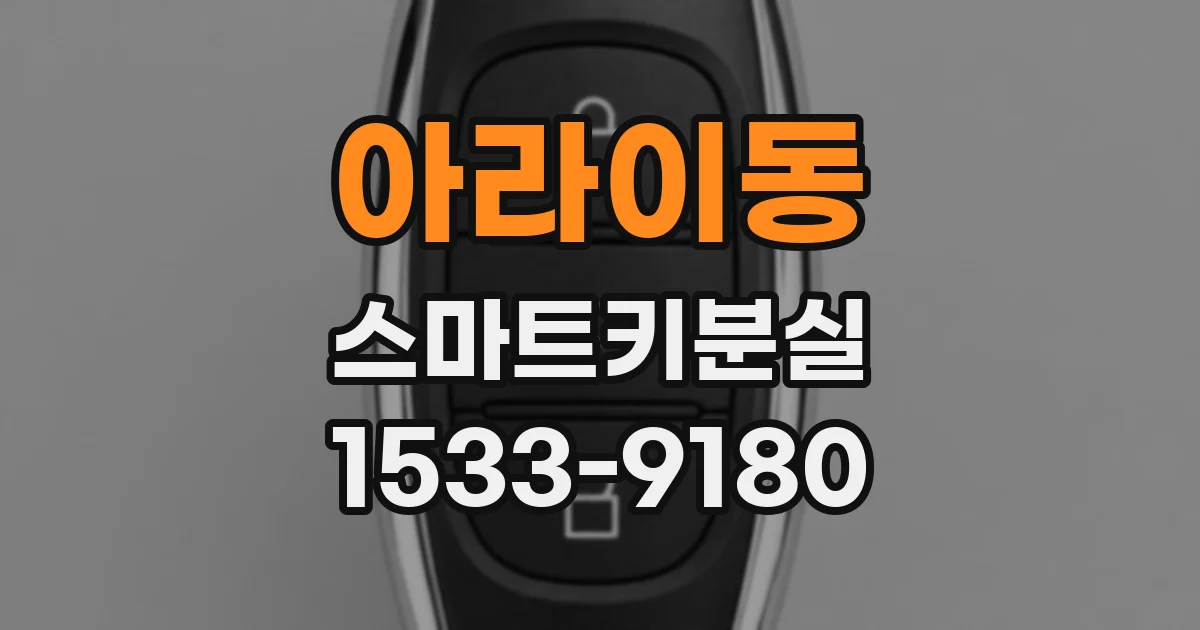 아라이동 스마트키분실