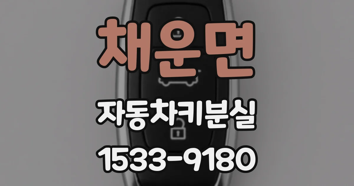 채운면 자동차키분실