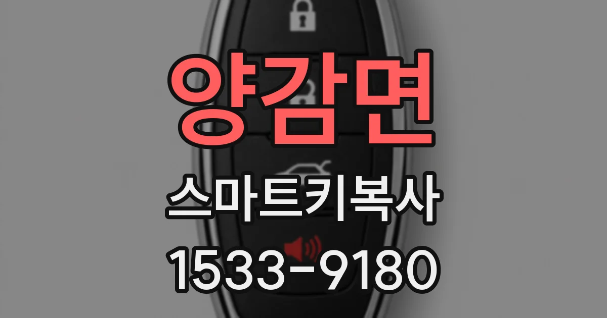 양감면 스마트키복사