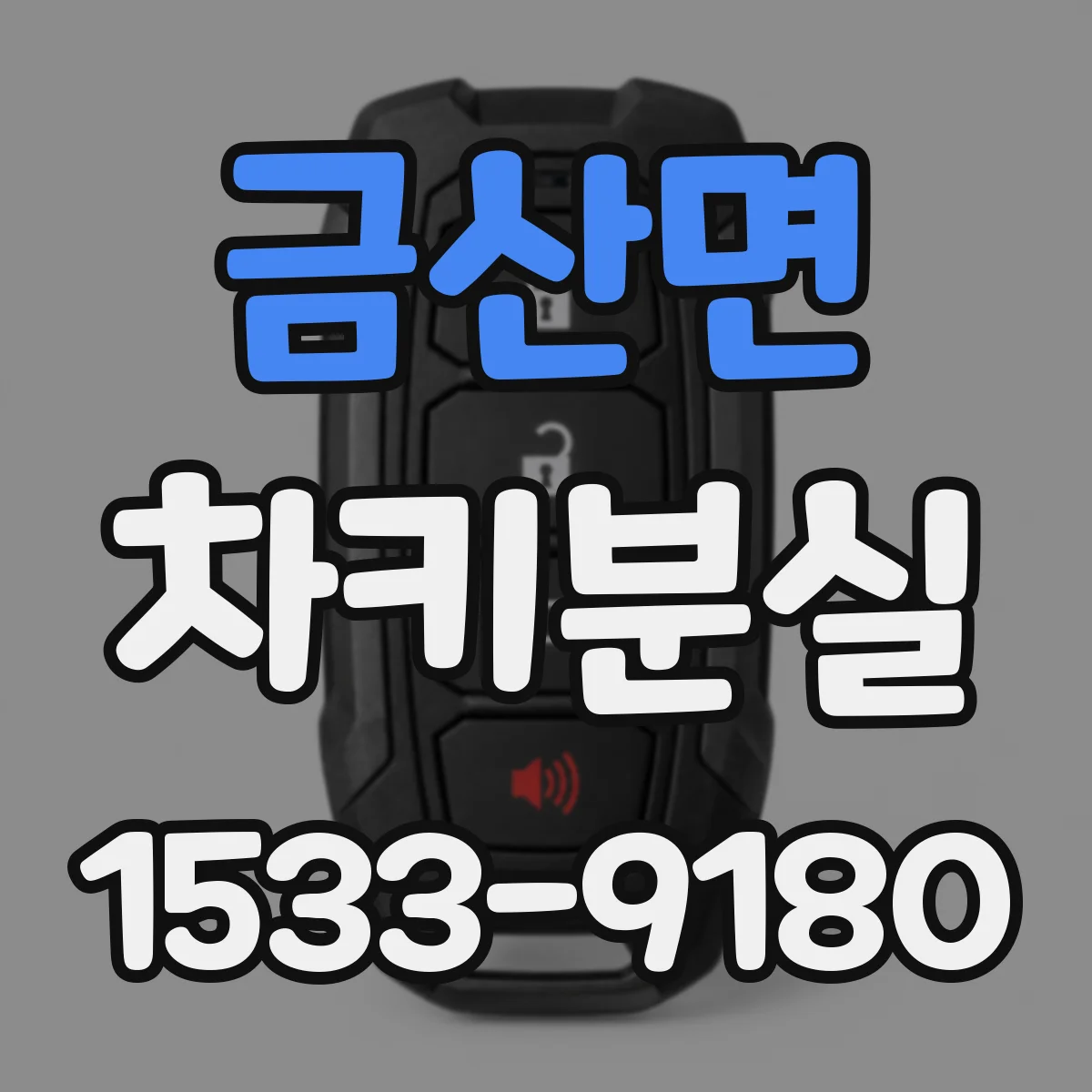 금산면 차키분실